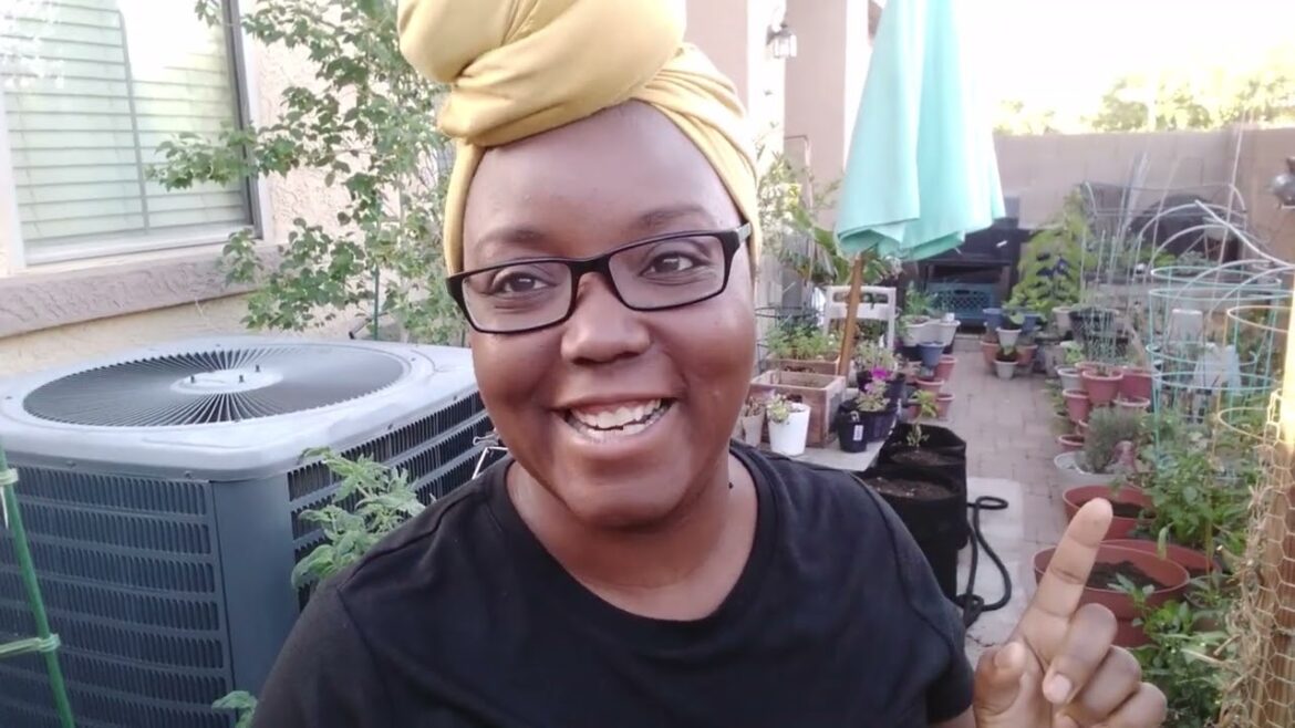 Small Space Desert Garden Tour – May 7th, 2023 – Container Garden- 90 Degrees Small Space Desert Garden Tour - May 7th, 2023 - Container Garden- 90 Degrees