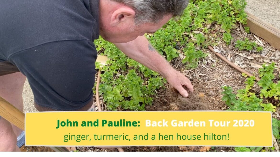 Edible Garden Tour 2020 | Turmeric, Ginger and a pretty fancy chook house!