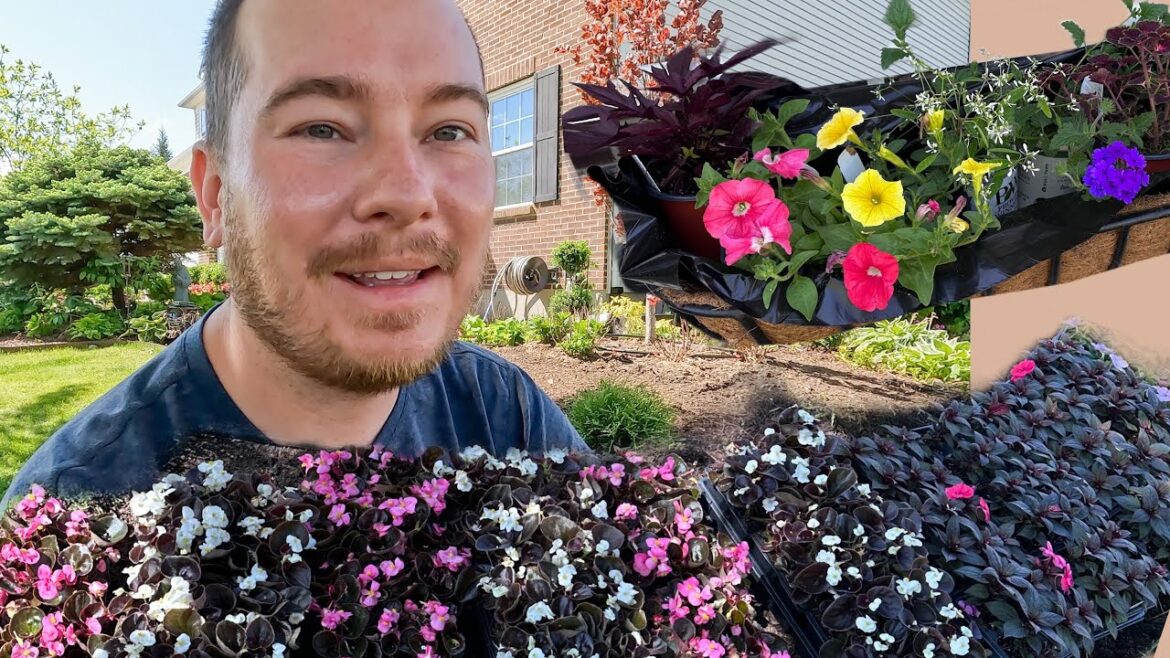 THE ANNUALS HAVE ARRIVED!! (CONTAINER PLANTING) | The Southerner’s Northern Garden THE ANNUALS HAVE ARRIVED!! (CONTAINER PLANTING) | The Southerner's Northern Garden