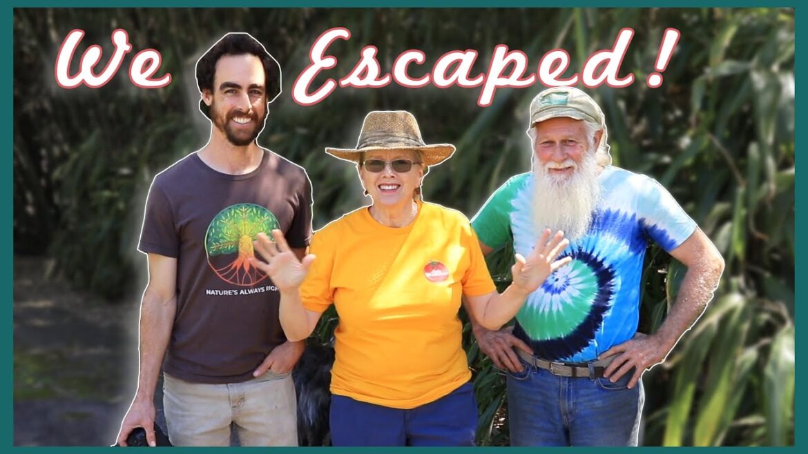 Kaye Kittrell: ESCAPE the CITY with little to NO MONEY! Out of the box ideas that WORK! ESCAPE the CITY with little to NO MONEY! Out of the box ideas that WORK!