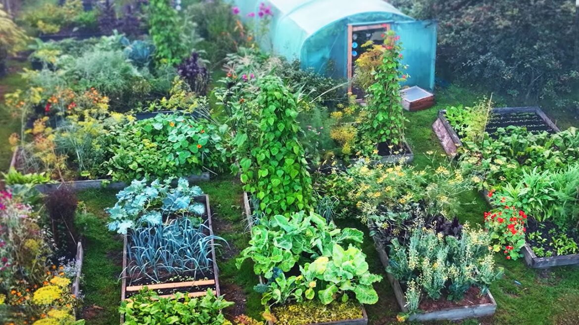 Using Permaculture to Create Productive & Beautiful Spaces