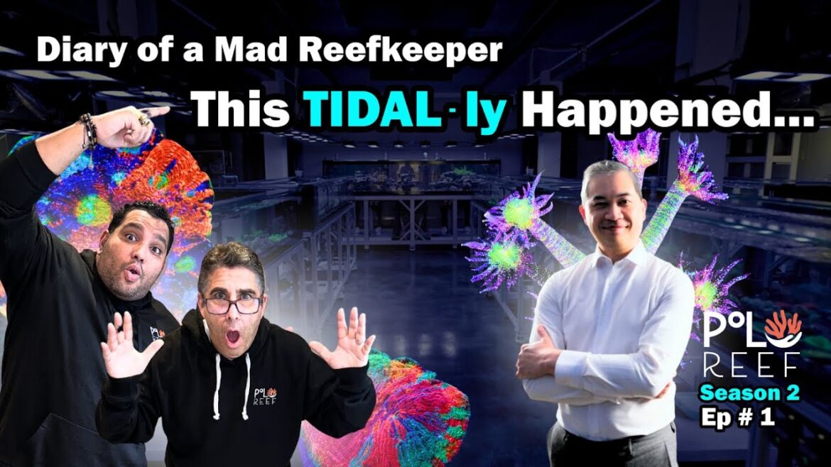We travelled to Tidal Gardens and… MIND BLOWN We travelled to Tidal Gardens and... MIND BLOWN