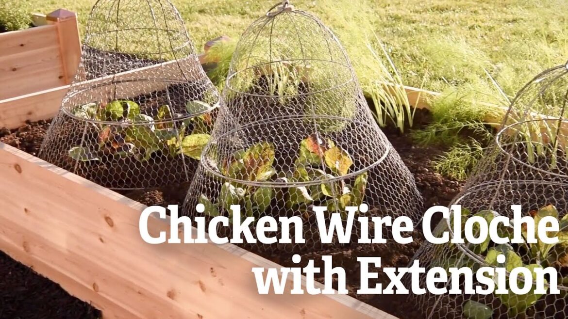 A Closer Look at The Chicken Wire Cloche with Extension | Gardener's Supply