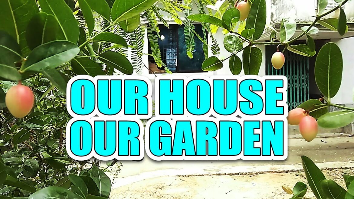 Our House & Our Garden #gardening #garden #fruitgarden Our House & Our Garden #gardening #garden #fruitgarden