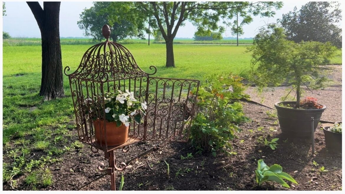 Shade Container Garden Tour 🌿 | May 2023 | Wendi’s Garden Shade Container Garden Tour 🌿 | May 2023 | Wendi’s Garden