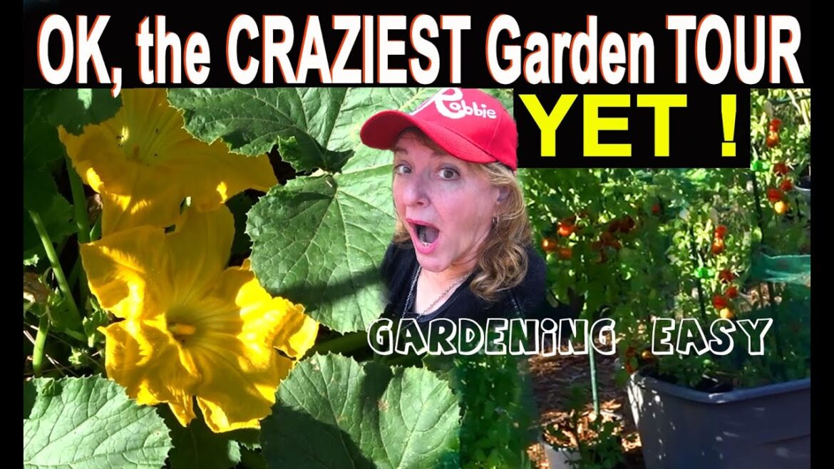 Garden Tour Easy TIPS Growing Vegetables Container Gardening Tomato-LARGE Harvest-Compost in Place Garden Tour Easy TIPS Growing Vegetables Container Gardening Tomato-LARGE Harvest-Compost in Place