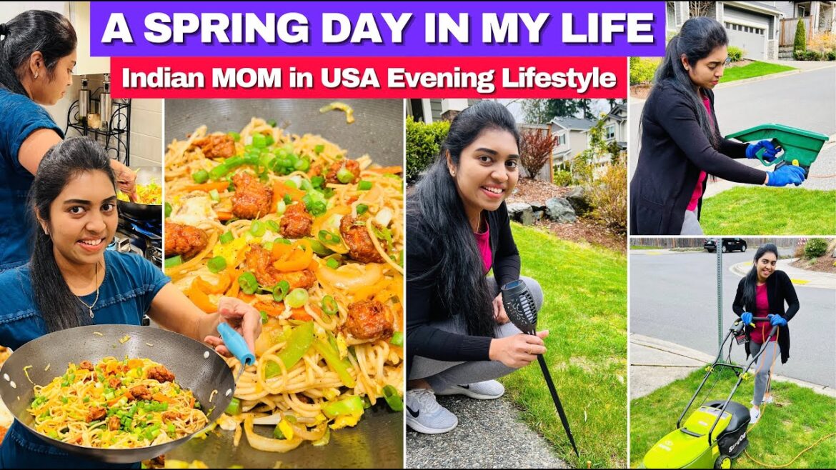 எங்க வீட்டு Gardening Routine After Winter & Street Style Chicken 65 Hakka Noodles | USA Tamil VLOG
