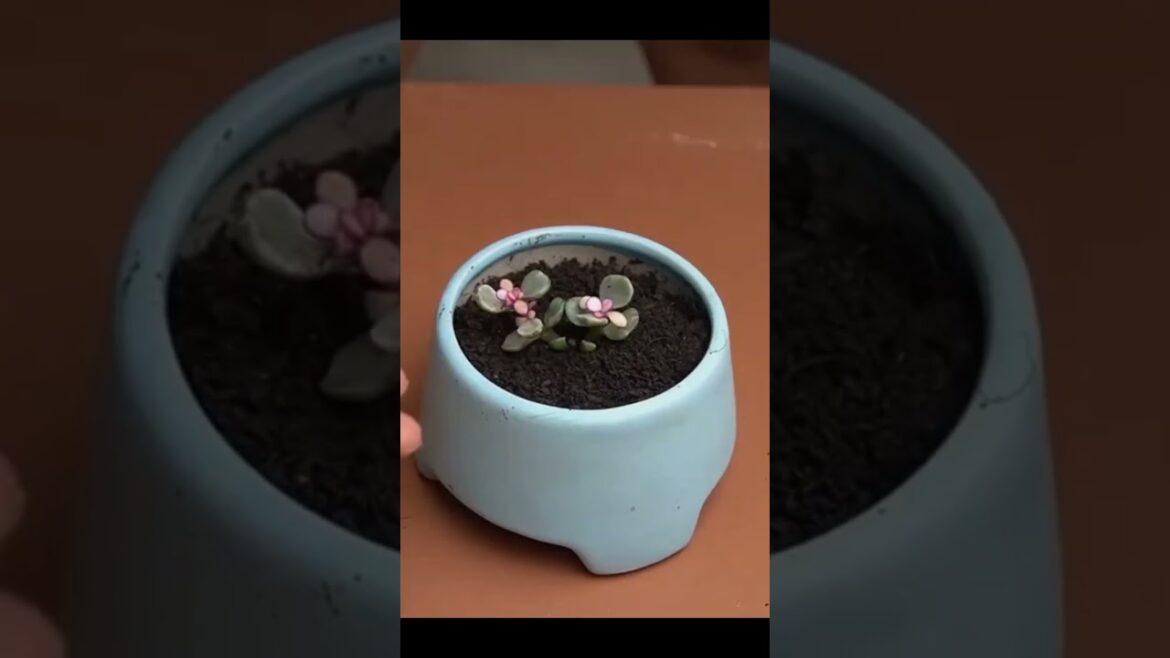 Beautiful Flower Vertical Garden Ideas For Small Spaces