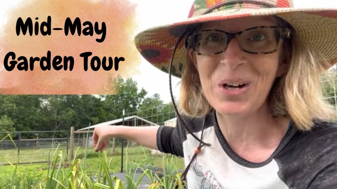 May Garden Tour 2023 | Zone 8 May Garden Tour 2023 | Zone 8