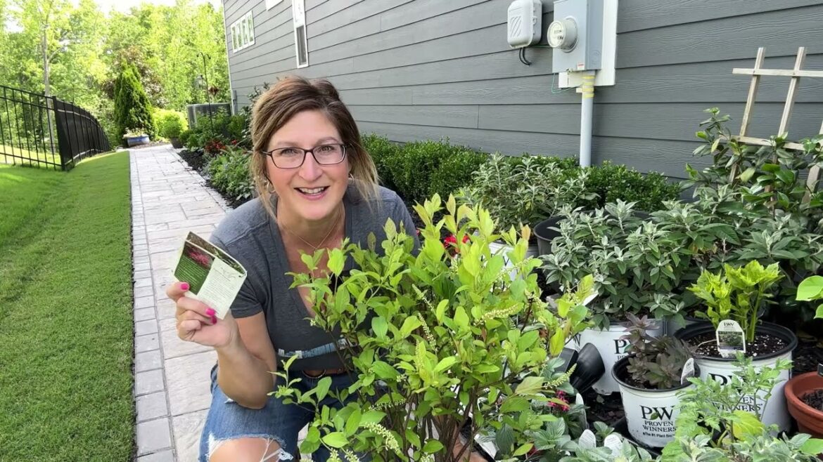 Plant Haul 2023: Planting up a New Flower Bed: Plant Garden Tour: Landscape Inspiration Side Garden