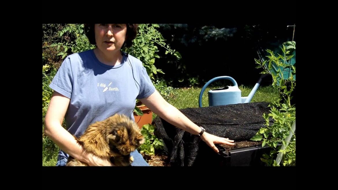 How to Keep Cats Out of Your Garden | Gardener's Supply