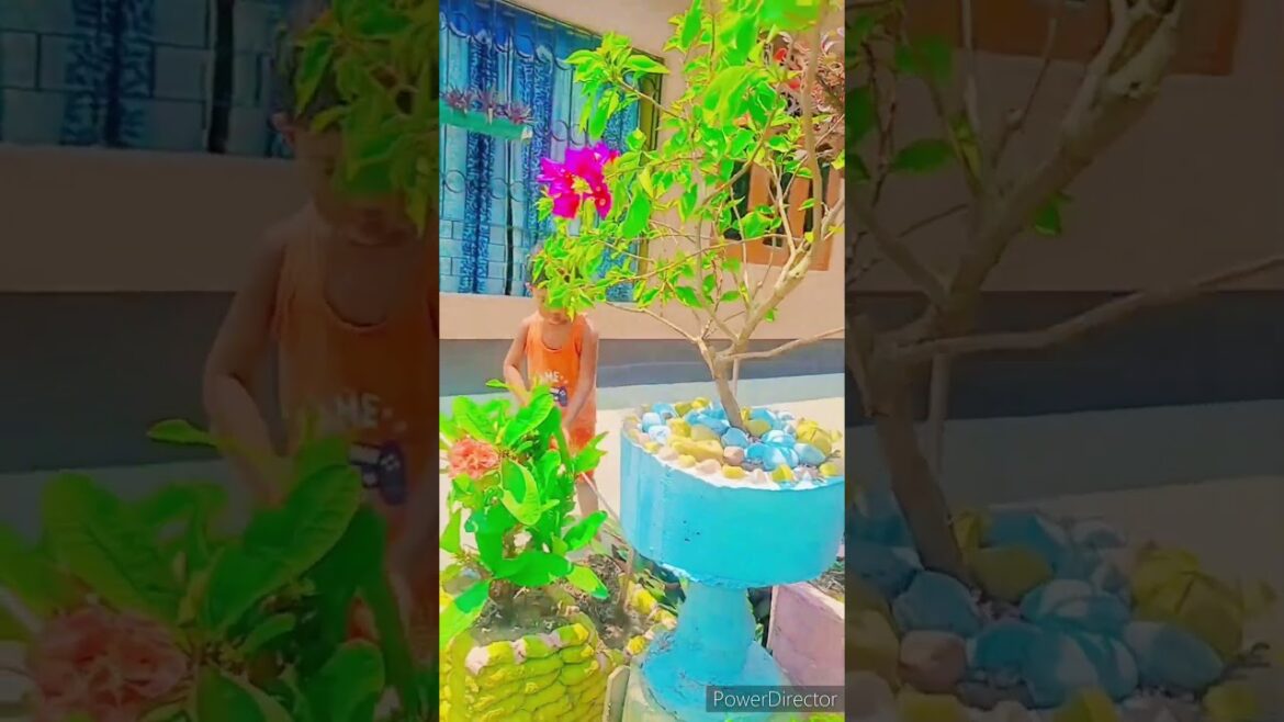 Super Gardening Tips | Gardening ideas | Baby Funny Video | Cute Baby | Beautiful Nature | Shorts