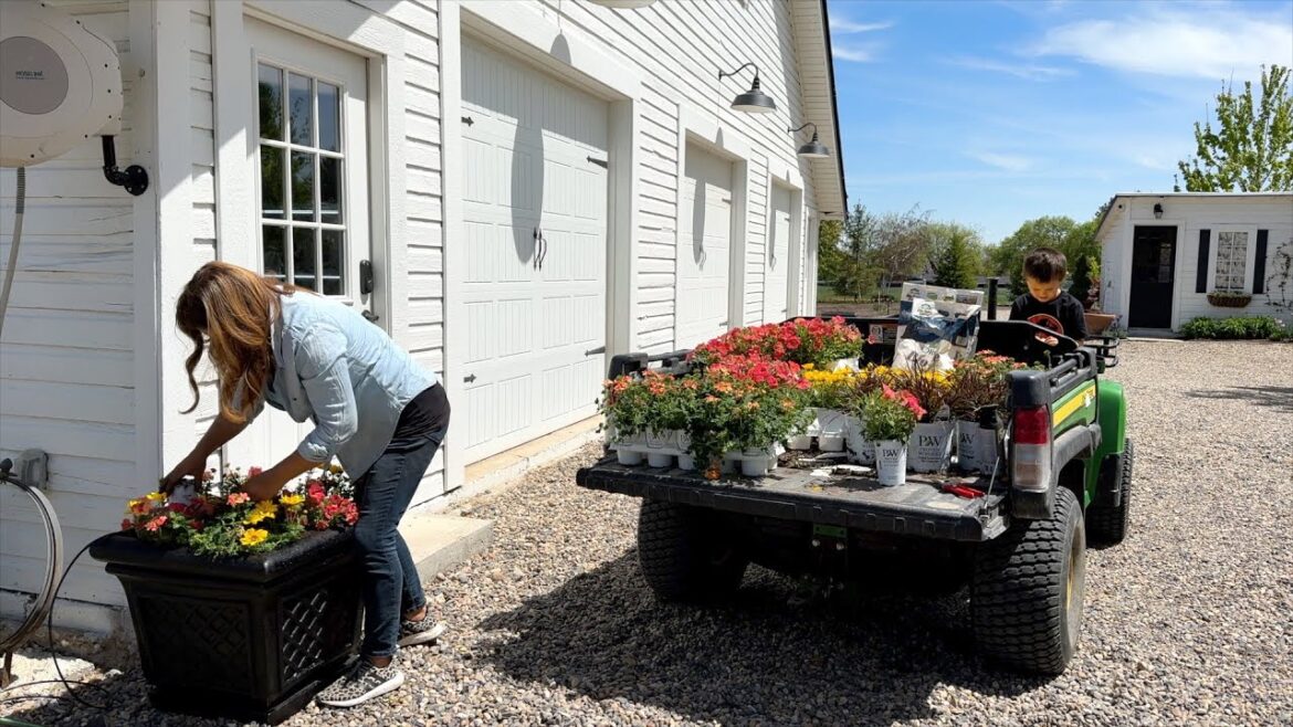 Garden Answer: Rearranging & Potting Up a Bunch of Containers! 💪🌸🌿 // Garden Answer Rearranging & Potting Up a Bunch of Containers! 💪🌸🌿 // Garden Answer