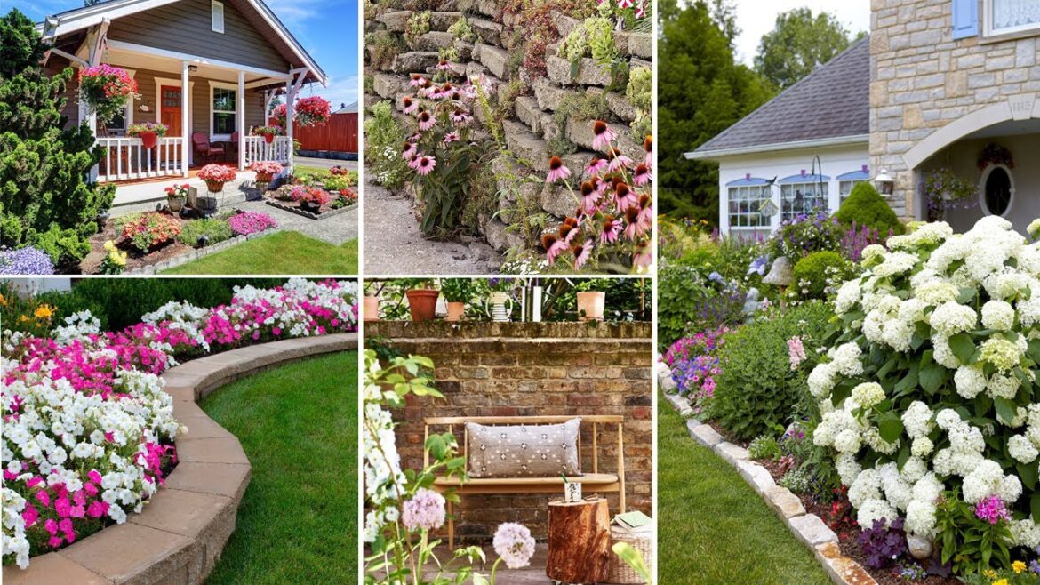 Best small garden tips and ideas you need to know for your house
