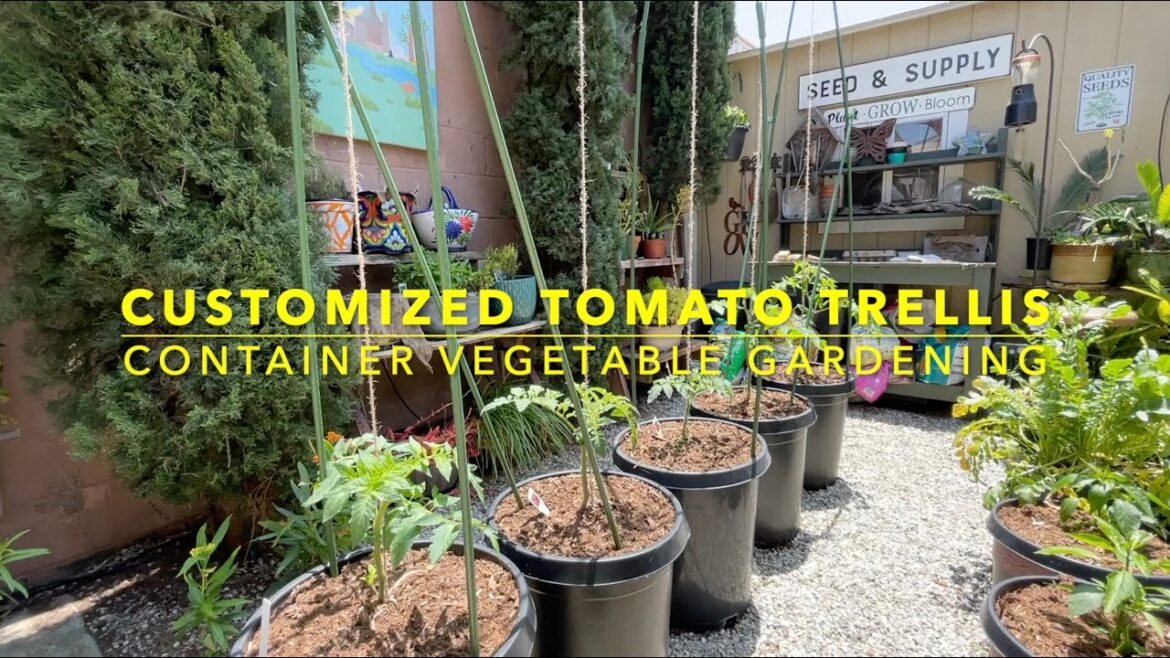 Custom Container Tomato Trellis | Container Vegetable Gardening
