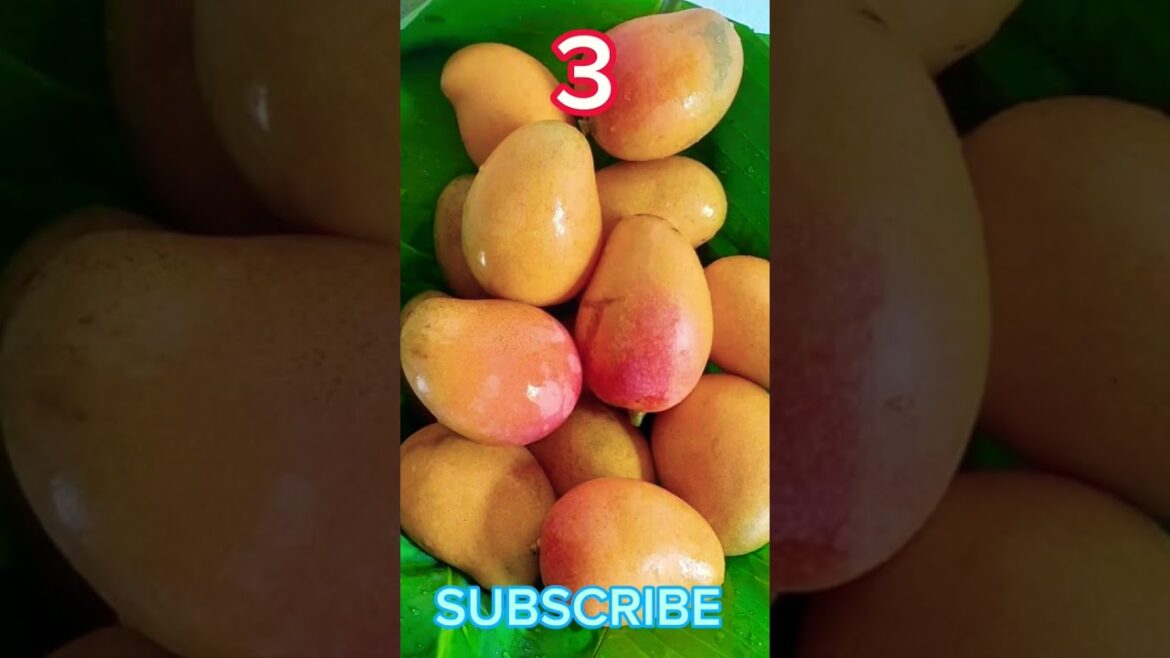 “Must-Try Summer 2023: The Top 4 Fruits for Refreshing Delights” #viral #trending #views #shorts "Must-Try Summer 2023: The Top 4 Fruits for Refreshing Delights" #viral #trending #views #shorts