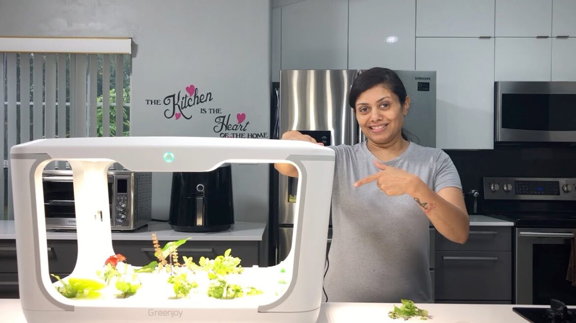 Greenjoy Indoor Grow Box Review Video Indoor Gardening all year long.. | Bhavna’s Kitchen Greenjoy Indoor Grow Box Review Video Indoor Gardening all year long.. | Bhavna's Kitchen