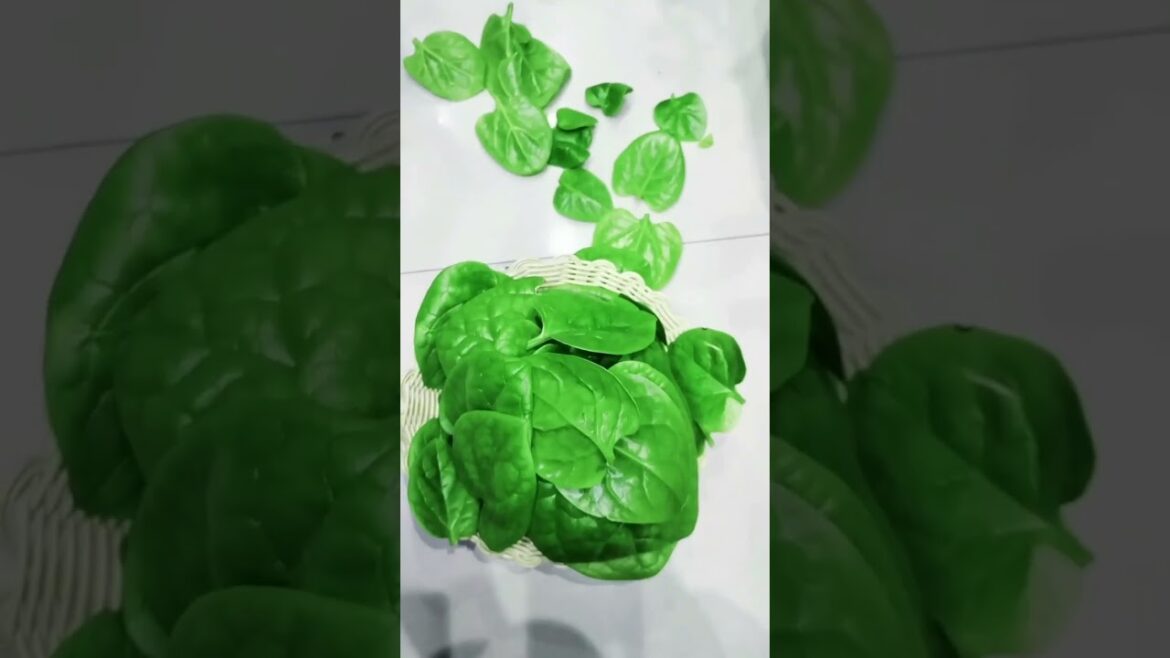 gardening ideas for home/ Inspiring vegetable /plants