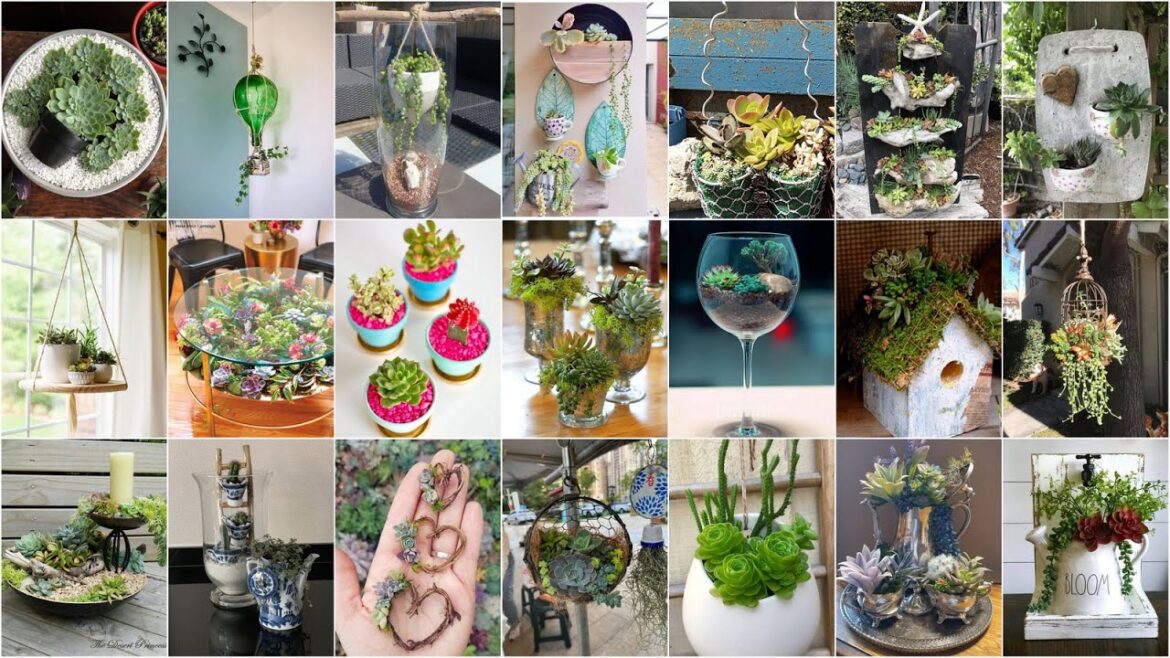 130+ Latest Succulent Garden Decorating Ideas! Must See!