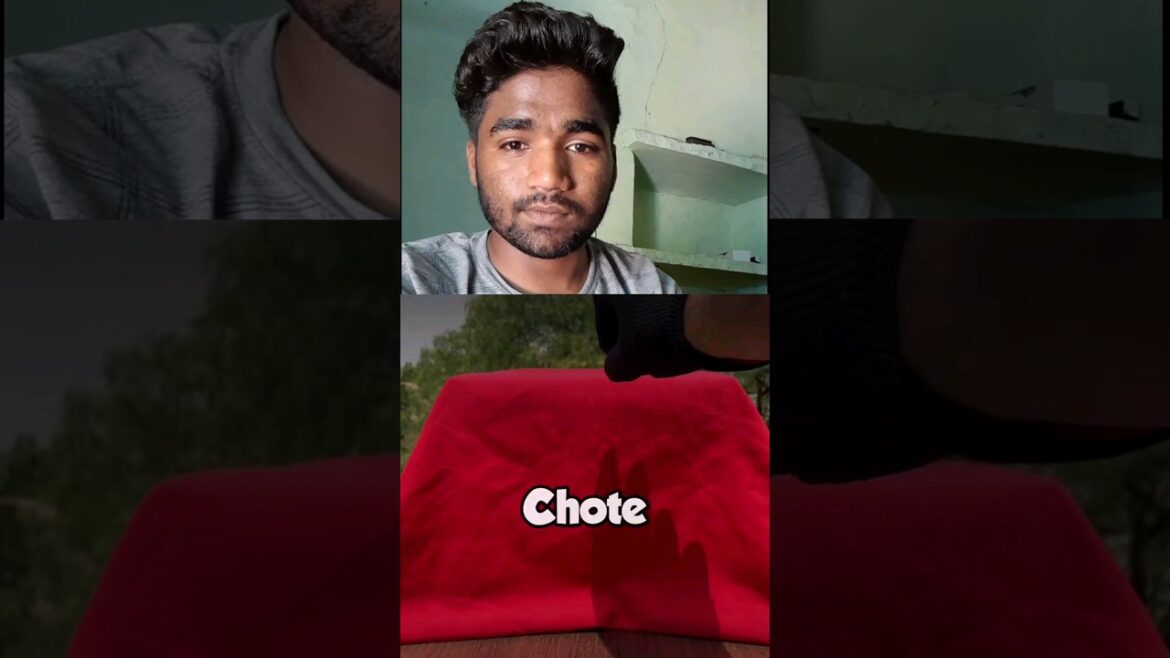 Did Black Solar Oven Cook the Food? #shorts #crazy #vishalludele #youtubeshorts #solar #oven #cook