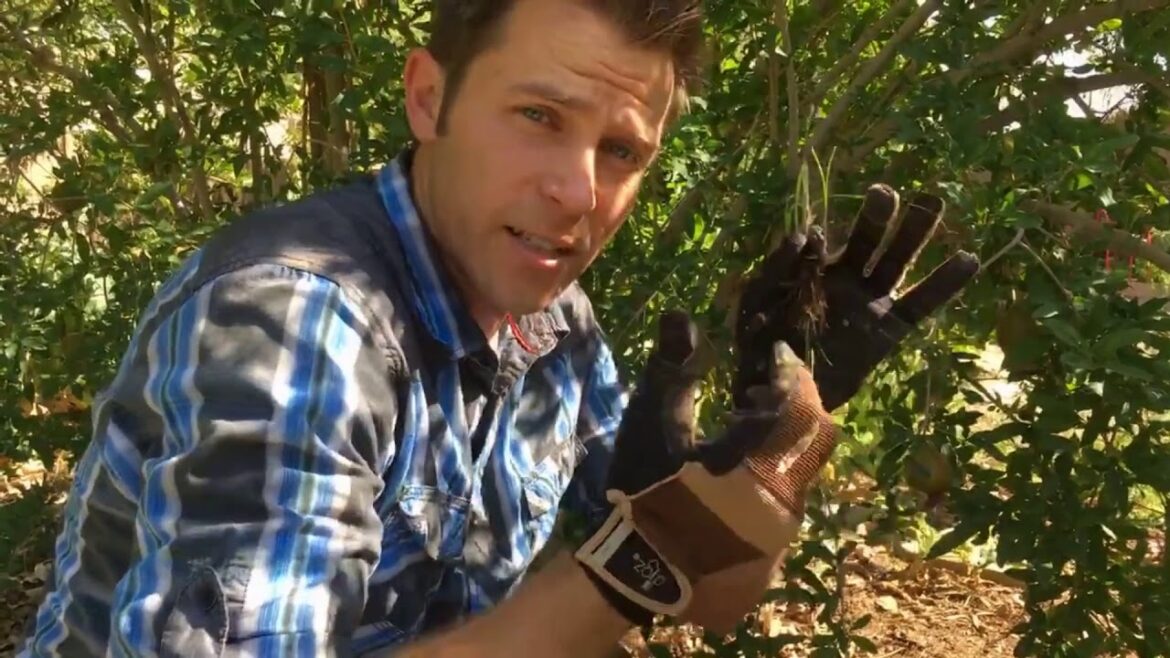 Garden Tools - Workout Wednesday | Agriscaping