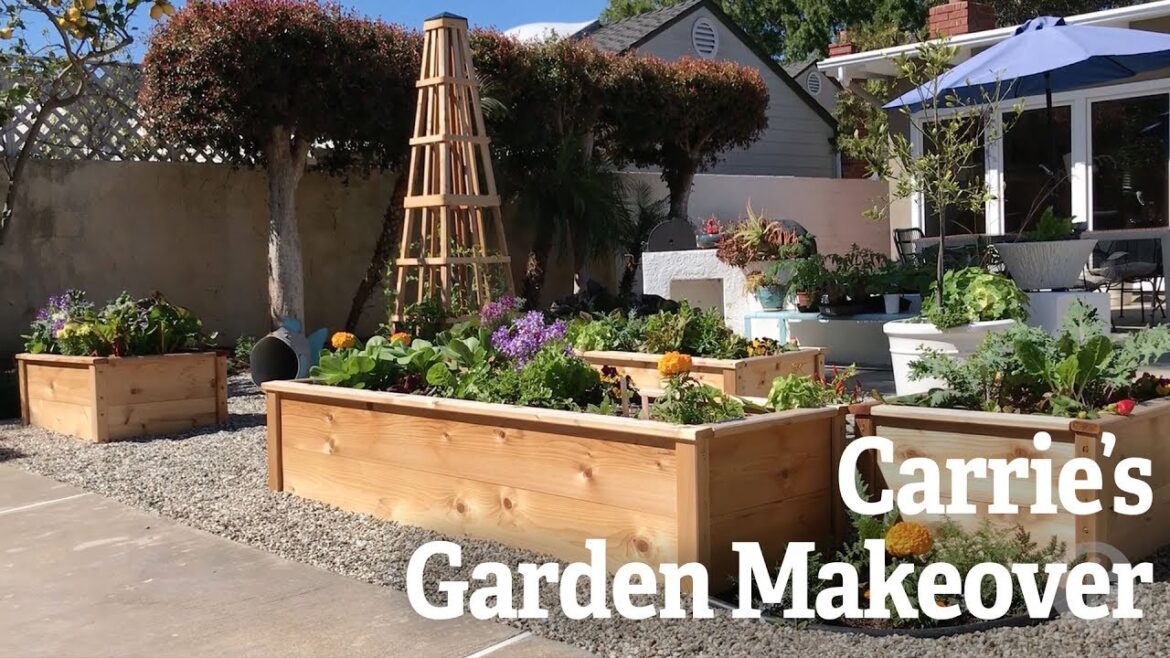 Carrie’s Garden Makeover Carrie's Garden Makeover