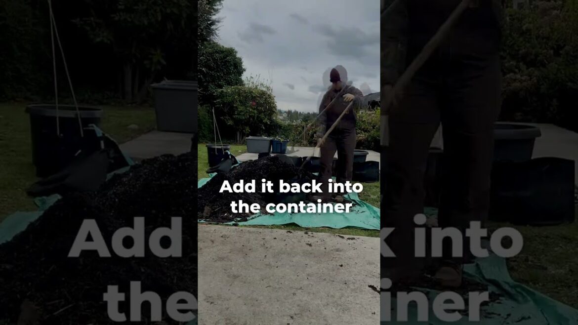 Healthy Soil: How to Replenish Your Container Garden Soil in 4 Steps Healthy Soil: How to Replenish Your Container Garden Soil in 4 Steps