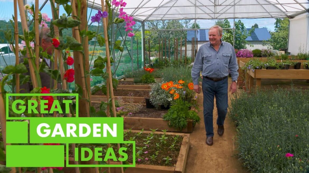 Garden IDEAS - Bob Cherry's New Garden | GARDEN | Great Home Ideas