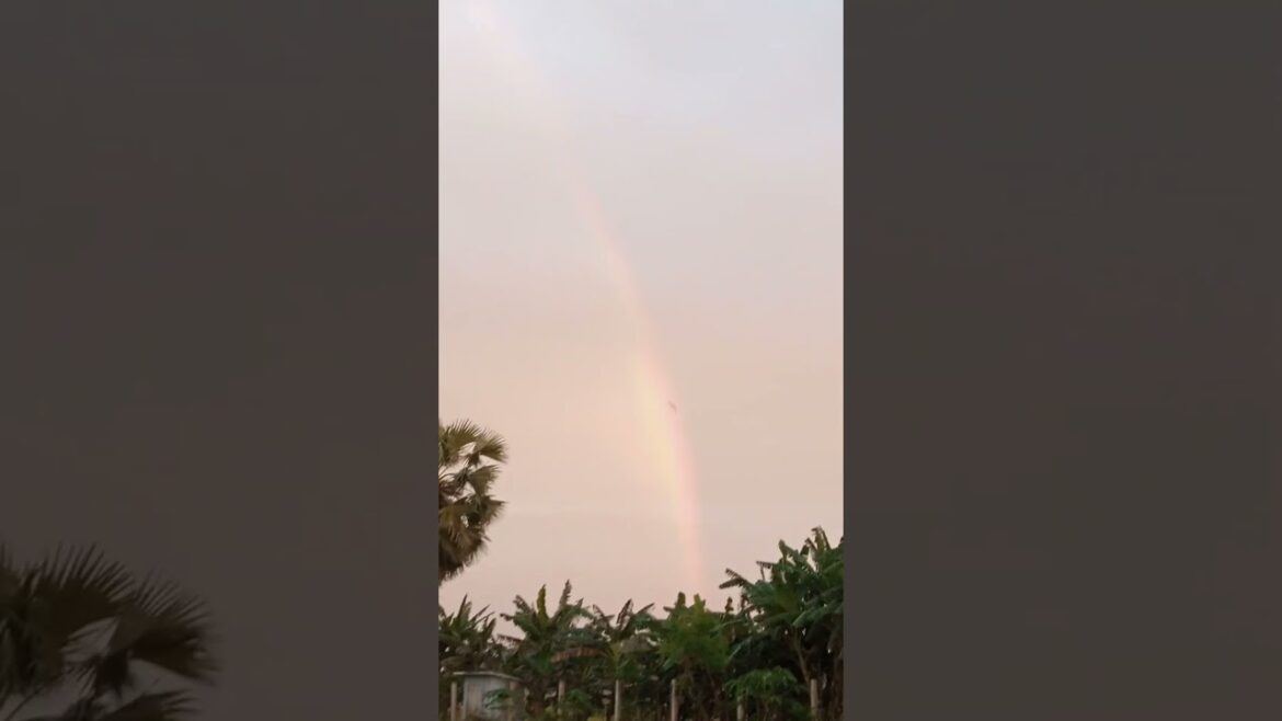 Rongdonu😍#shorts #viral Rongdonu😍#shorts #viral