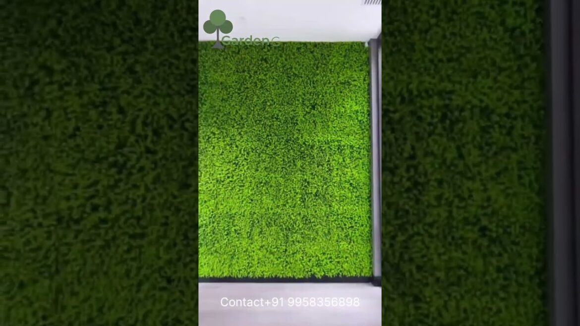 Balcony Garden Makeover Ideas | Balcony Garden Ideas | Balcony decoration ideas #viral #delhincr