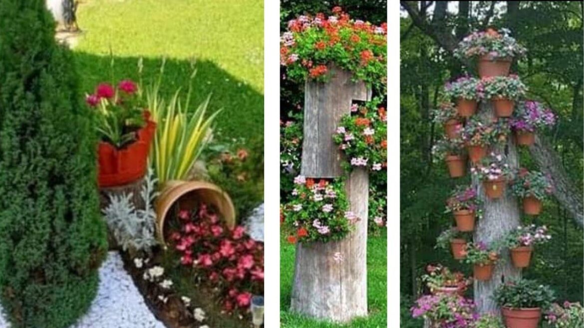 DIY garden and home decoration exterior and interior design ideas