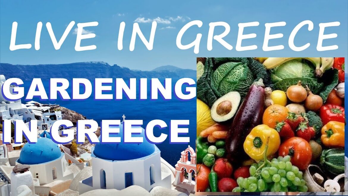 Gardening in Greece – Growing Fruit and Vegetables – Living in Greece Gardening in Greece - Growing Fruit and Vegetables - Living in Greece