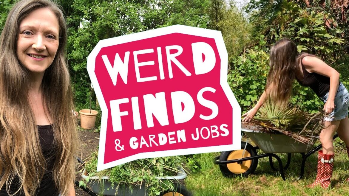 Wow look what I've spotted! Veg Update, Taste Test, Garden Jobs