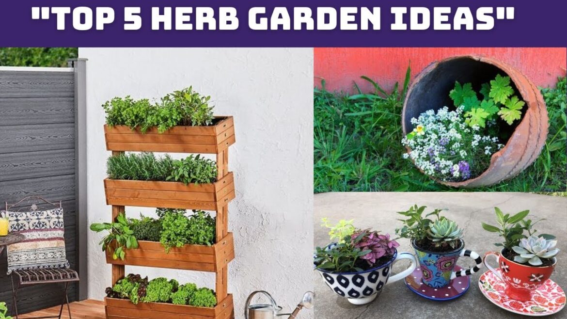 Top 5 Herb Garden Ideas Top 5 Herb Garden Ideas
