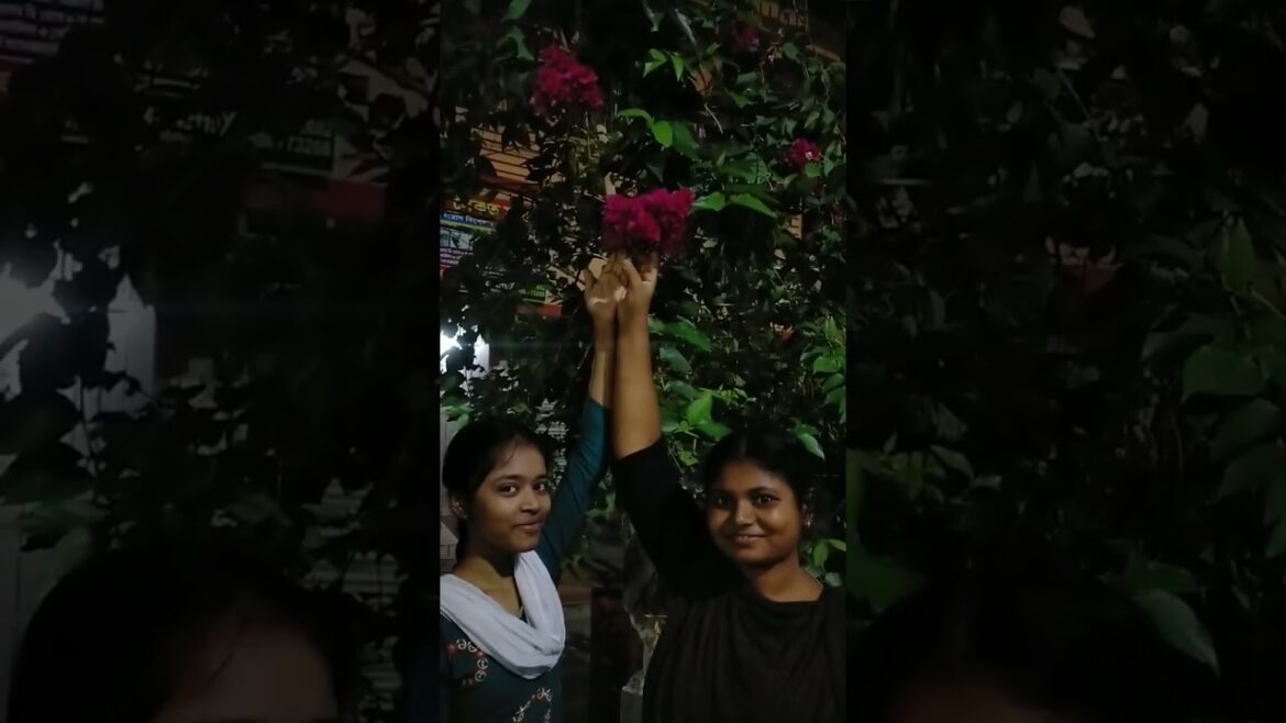 #কাগজ ফুল II Bougainvillea Glabra Flower II Paper Flower #shortsviral#kindly subscribe