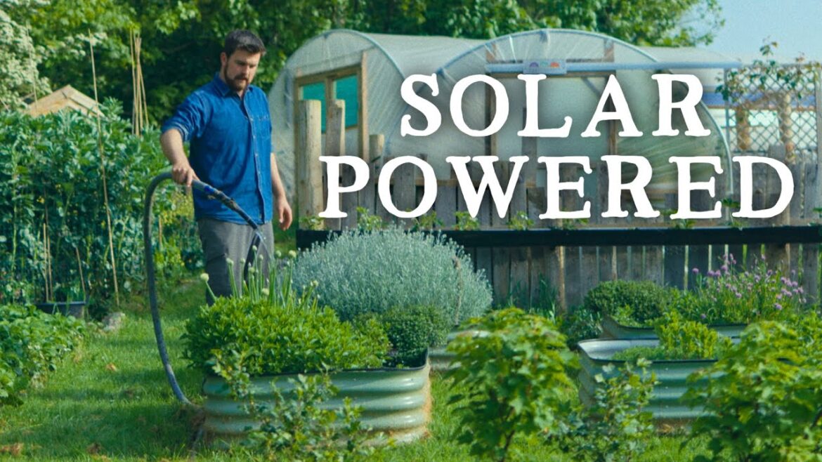 Huw Richards: Off-Grid Water Setup & Tomato Planting | Huw’s Garden Diaries Off-Grid Water Setup & Tomato Planting | Huw's Garden Diaries