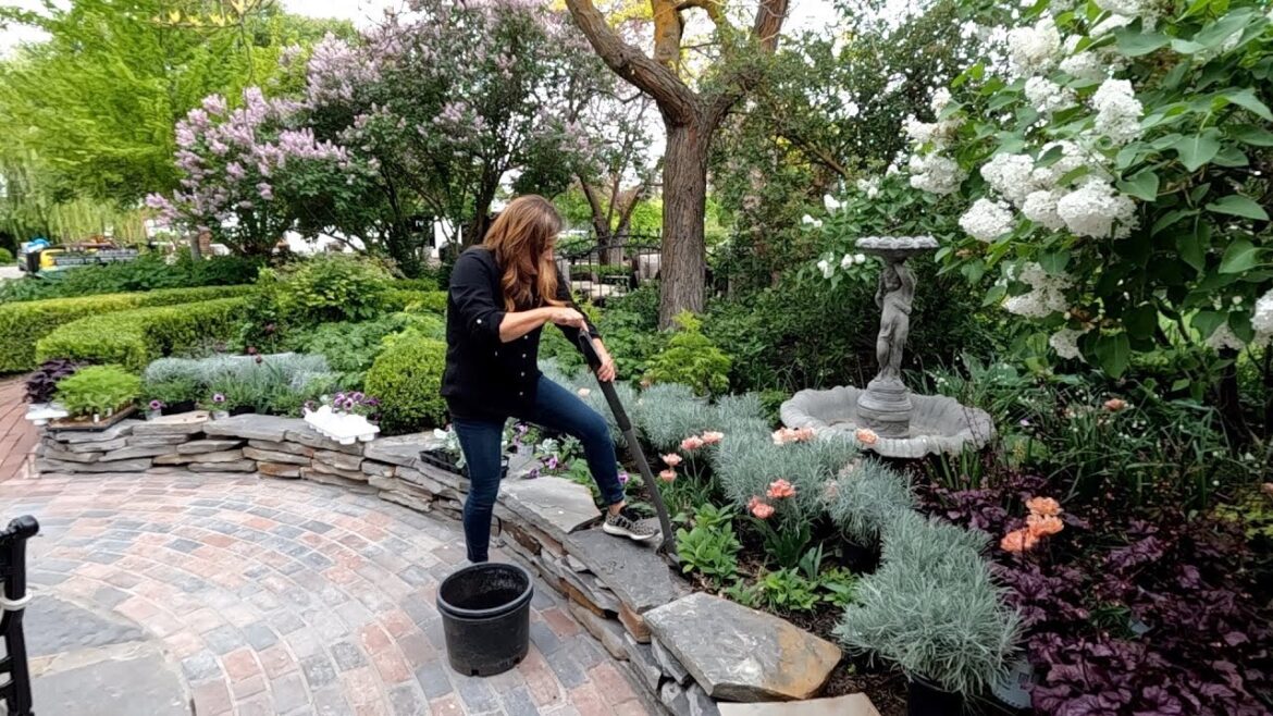 Garden Answer: Planting up Our Kitchen Flowerbed! 🌿💜 // Garden Answer Planting up Our Kitchen Flowerbed! 🌿💜 // Garden Answer