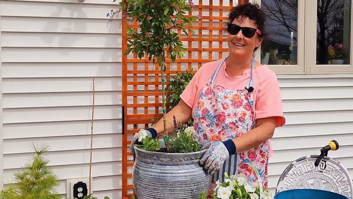 🌺Planting 2 Colorful and Fragrant Topiary Pots #gardening #containergardening