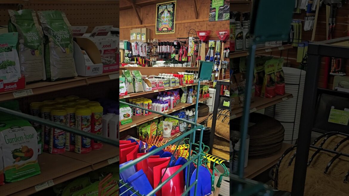 Garden Supplies! Our local Evergreen Garden Center! 🫑🍅🥕🥬 🪻🌺 #shorts #gardening