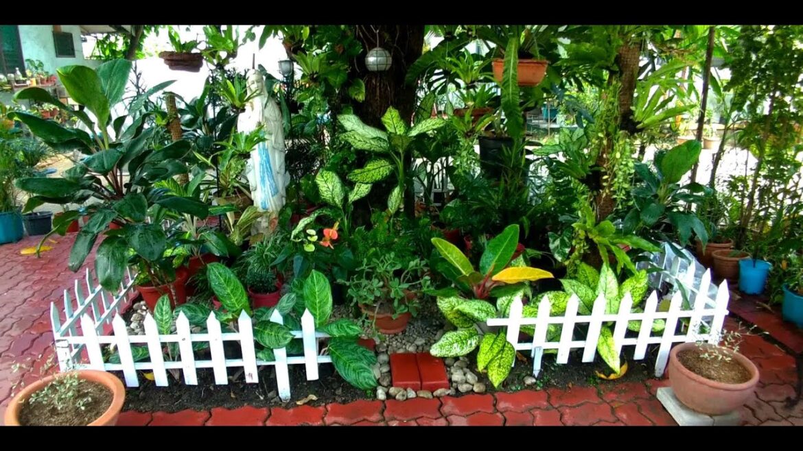 UNIQUE GARDEN IDEAS NG BAGONG PLANTITO COULD REFRESH YOUR BODY & SOUL