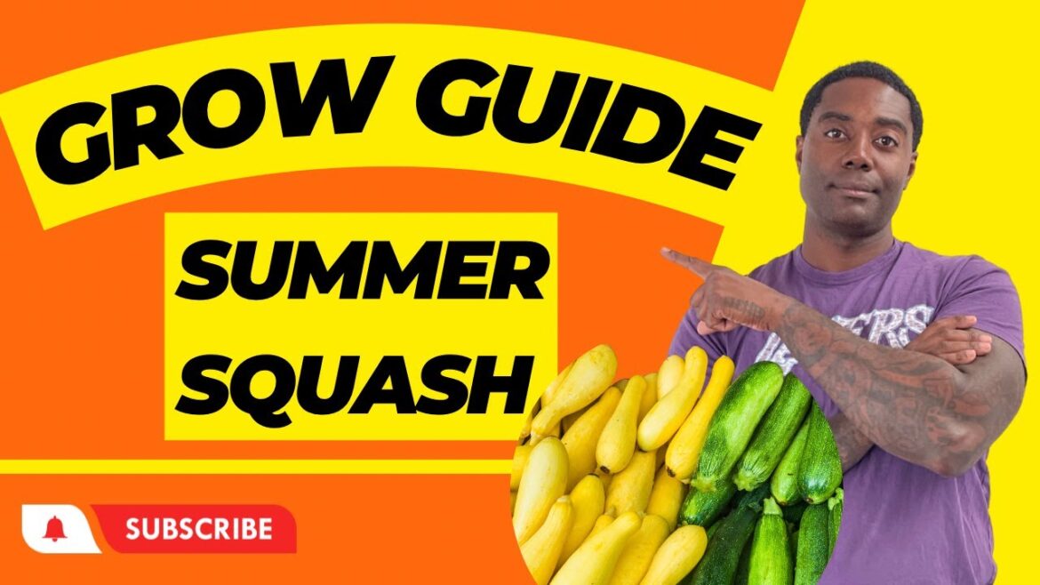Discover the Secret to Growing Perfect Summer Squash! | Summer Squash Grow Guide