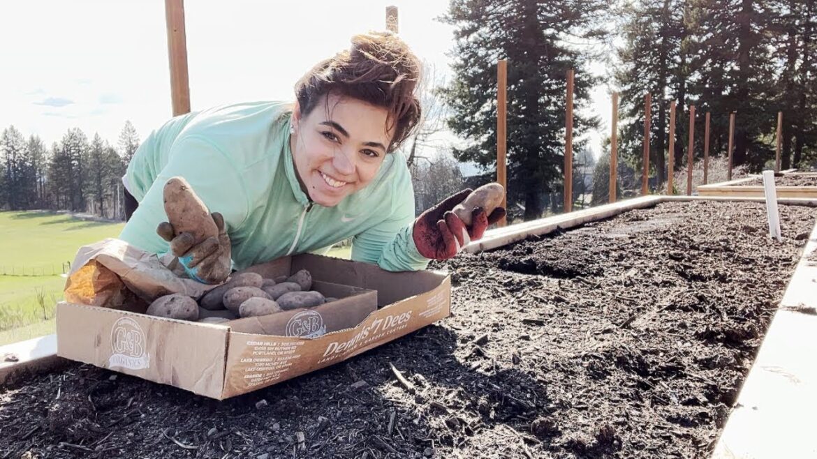 Garden Season 2023 Has Officially Started! Garden Season 2023 Has Officially Started!