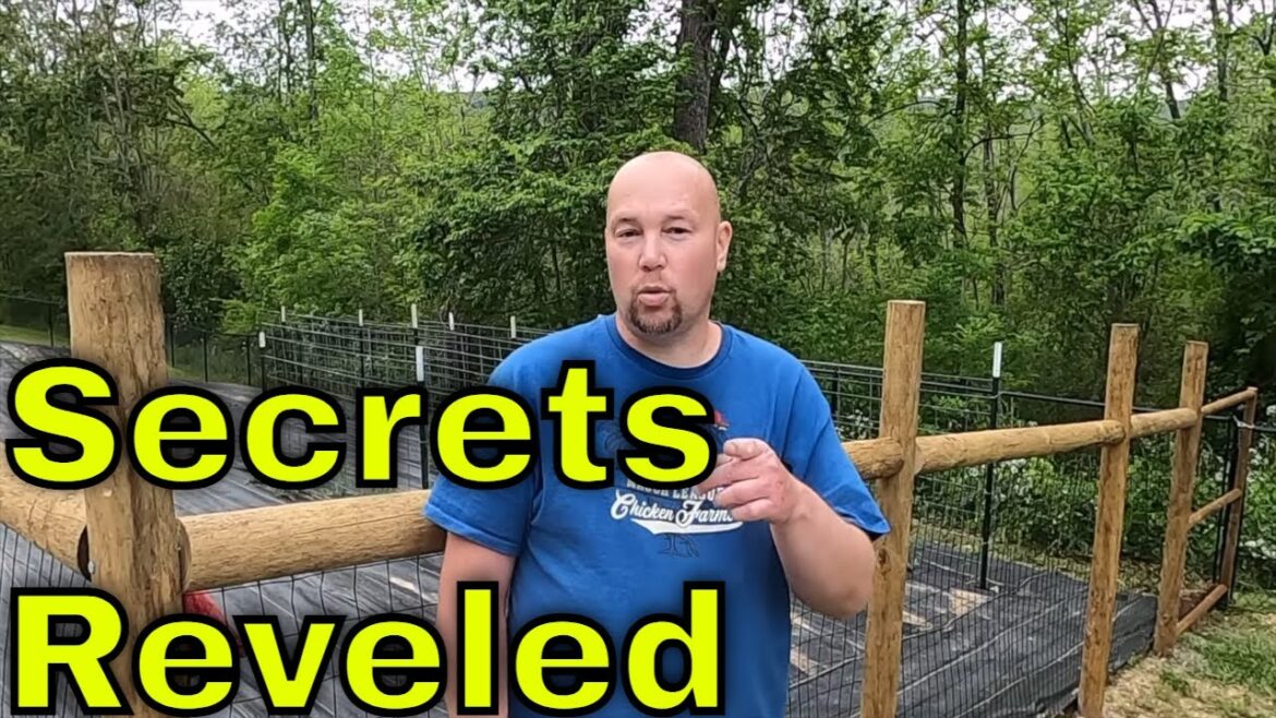 How to Improve Your Garden - Tips & Tricks