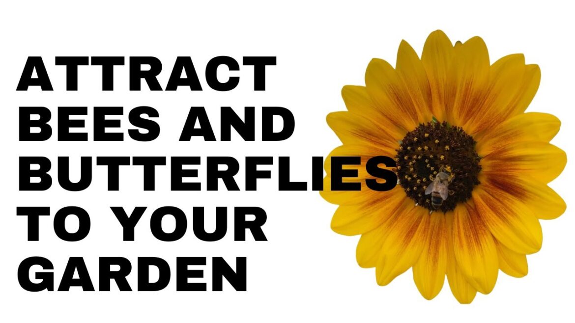 Attract Bees and Butterflies to Your Garden