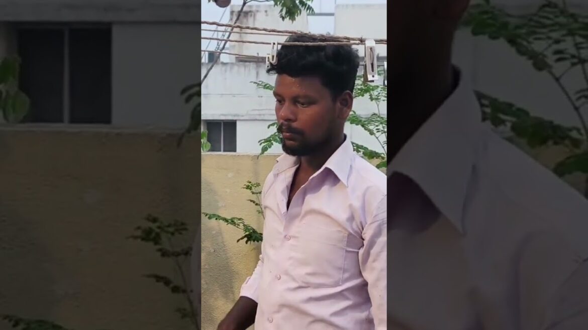 💥எந்த ஒரு செடியும் இப்படி வளர்த்து பாருங்க#shorts #gardeningtips #mkstalin  veetu gardener