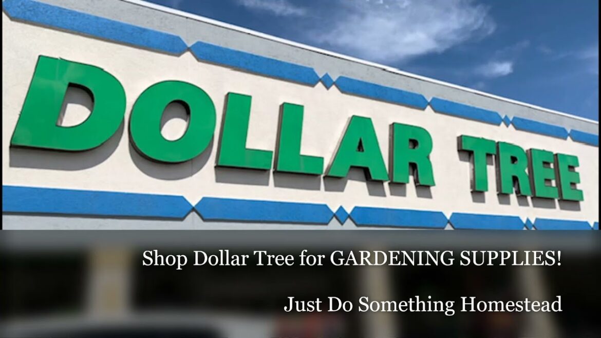 Shop Dollar Tree for GARDENING SUPPLIES!