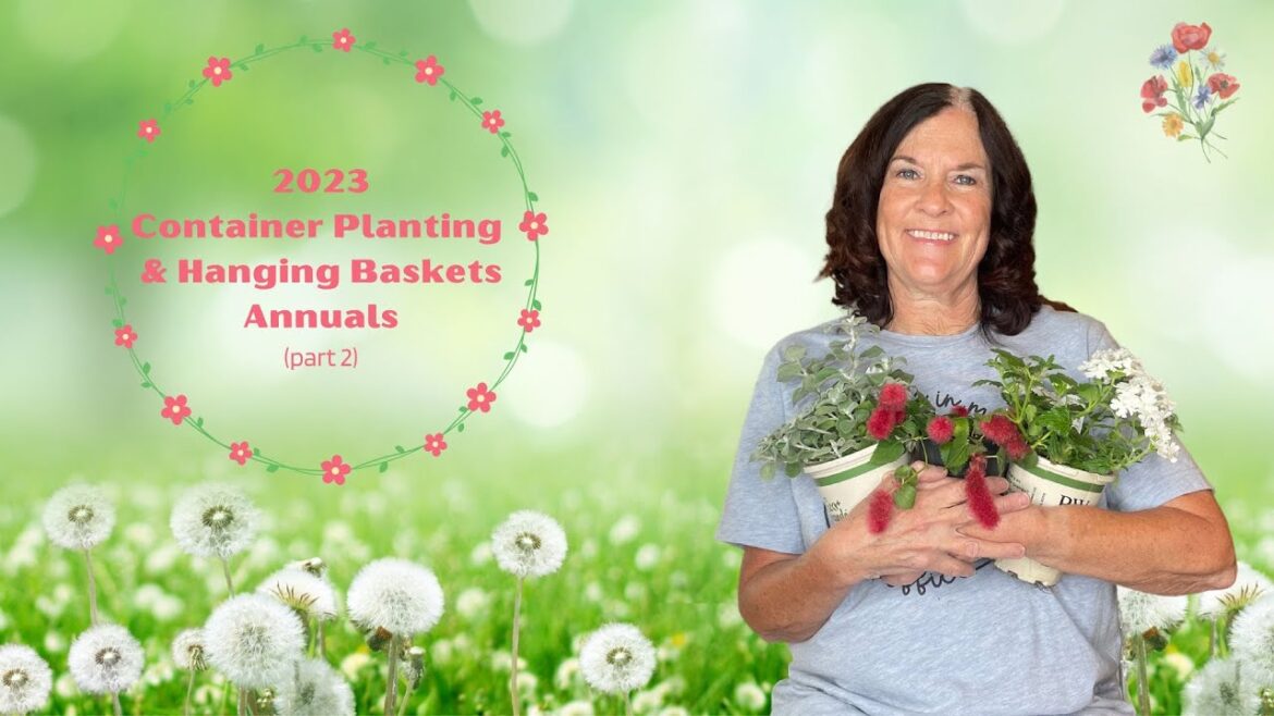 2023 Container Gardening Part 2