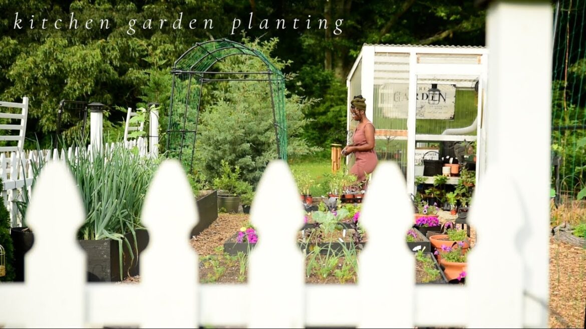 A slow gentle morning planting tomatoes & peppers