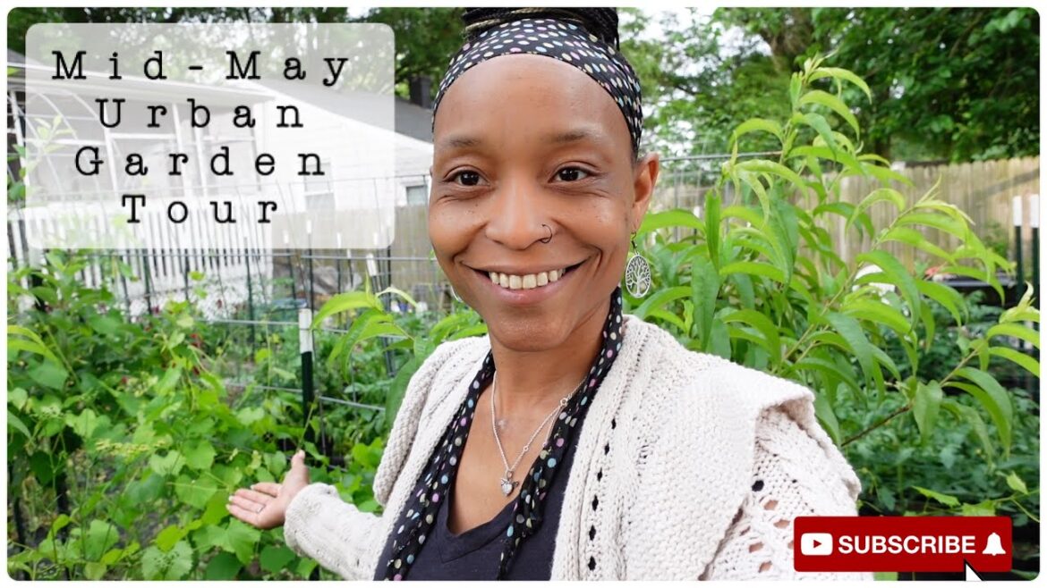 Urban Homestead Garden Tour | Mid-May Garden Tour Urban Homestead Garden Tour | Mid-May Garden Tour