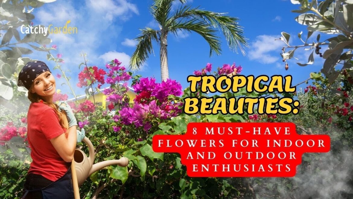 Tropical Beauties: 8 Must-Have Flowers for Indoor and Outdoor Enthusiasts 🍃🌷🌸